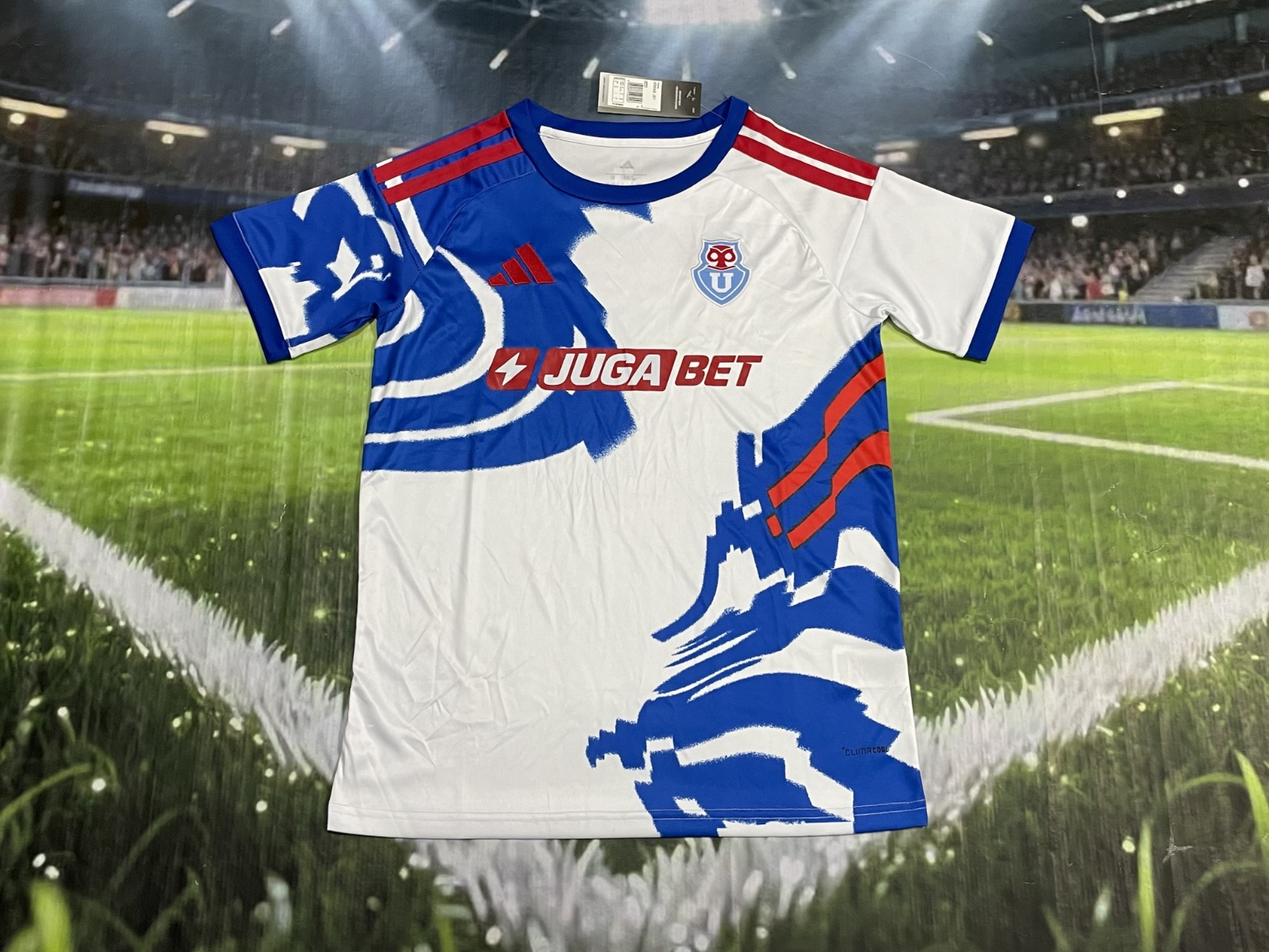 Universidad de Chile